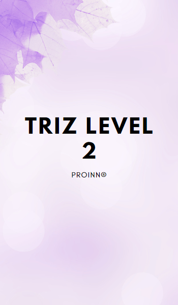 TRIZ Level 2